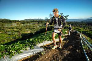 BIB: 9045
                            <button type="button" onclick="openModal(19111477)" class="btn btn-primary btn-sm float-right btn-popup" data-toggle="modal" data-target=".modal-high-quality">
                        <i class="fas fa-shopping-cart"></i> Add to Cart
                    </button>
                                            <button type="button" onclick="isThisMe(19111477, true)" class="btn btn-success btn-sm float-right btn-popup btn-isme hidden" data-toggle="tooltip" data-placement="bottom" title="นี่คือรูปของคุณใช่ไหม คลิกที่นี่เพื่อเอาเข้าอัลบั้ม">
                        <i class="fas fa-plus"></i> Add to album
                    </button>
                    <button type="button" onclick="isThisMe(19111477, false)" class="btn btn-warning btn-sm float-right btn-popup btn-isnotme hidden">
                        <i class="fas fa-ban"></i> Remove from album
                    </button>